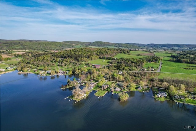 657 W Cottage Ln, Deruyter, NY 13052 - view of property location featuring a nearby body of water and a heavily wooded area