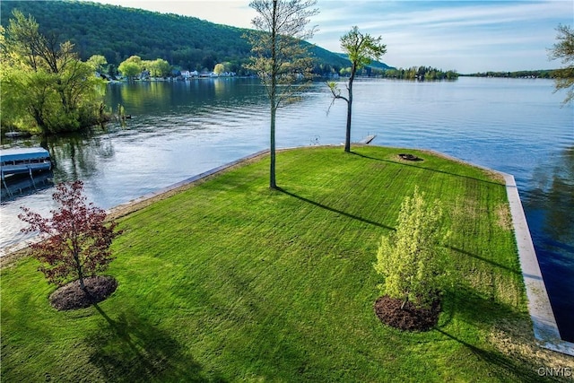 657 W Cottage Ln, Deruyter, NY 13052 - water view