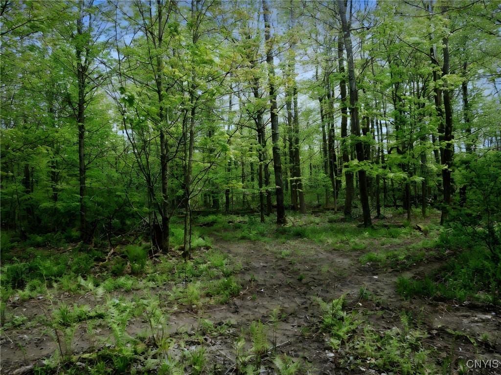 Doyle Rd, Brookfield, NY 13485