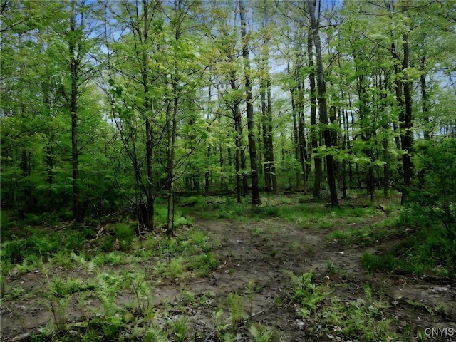 Doyle Rd, Brookfield, NY 13485