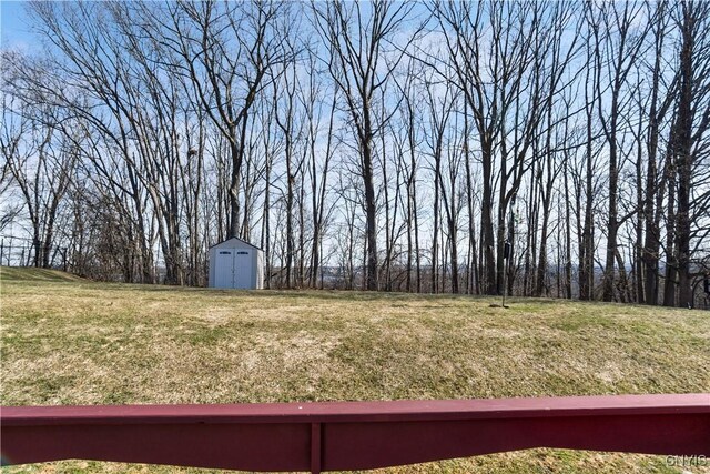 view of green lawn with a shed and an outdoor structure