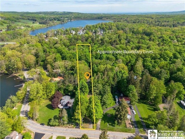 230 Dale Dr, Stockton, NY 14718 - aerial view of property and surrounding area with a forest, a large body of water, and property parcel outlined