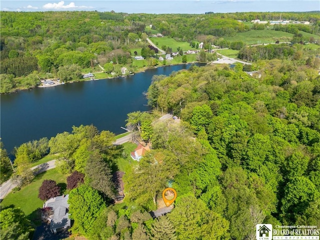 230 Dale Dr, Stockton, NY 14718 - view of property location featuring a heavily wooded area and a large body of water