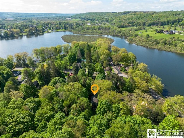 230 Dale Dr, Stockton, NY 14718 - photo 19