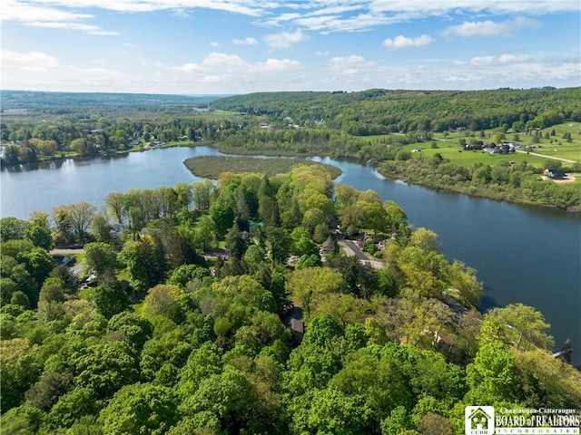 230 Dale Dr, Stockton, NY 14718 - drone / aerial view of a forest and a nearby body of water