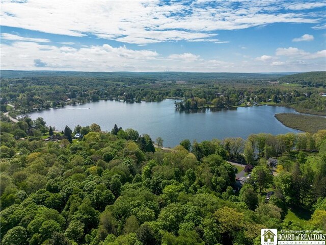 230 Dale Dr, Stockton, NY 14718 - photo 23