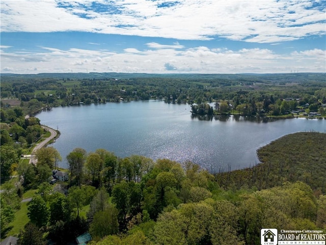 230 Dale Dr, Stockton, NY 14718 - photo 24