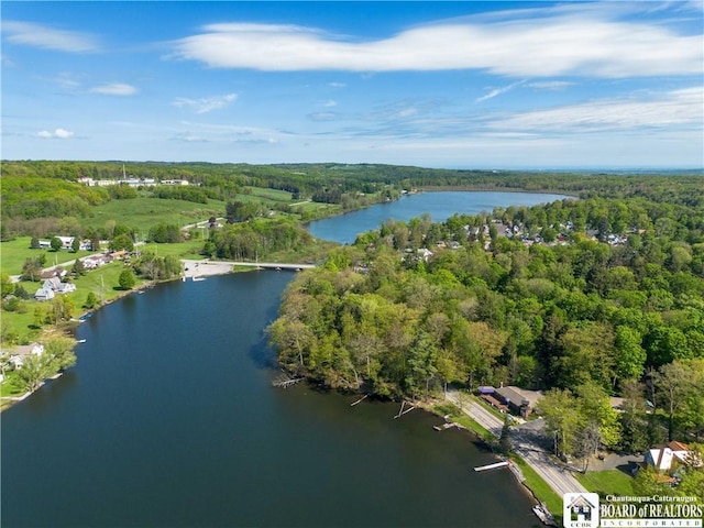 230 Dale Dr, Stockton, NY 14718 - photo 25