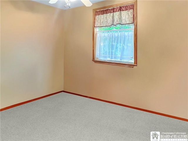 230 Dale Dr, Stockton, NY 14718 - photo 16