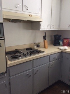 1018-20 Ackerman Ave Unit 1020, Syracuse, NY 13210 - kitchen featuring gray cabinets, under cabinet range hood, and light countertops