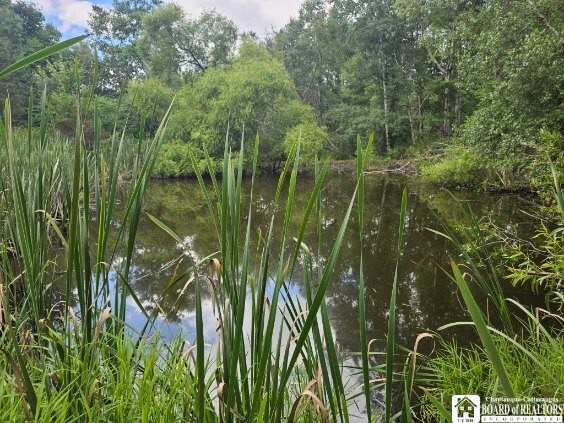 5162 Whig St, Little Valley, NY 14779 - water view