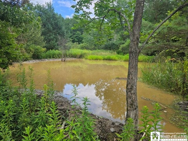 5162 Whig St, Little Valley, NY 14779 - water view