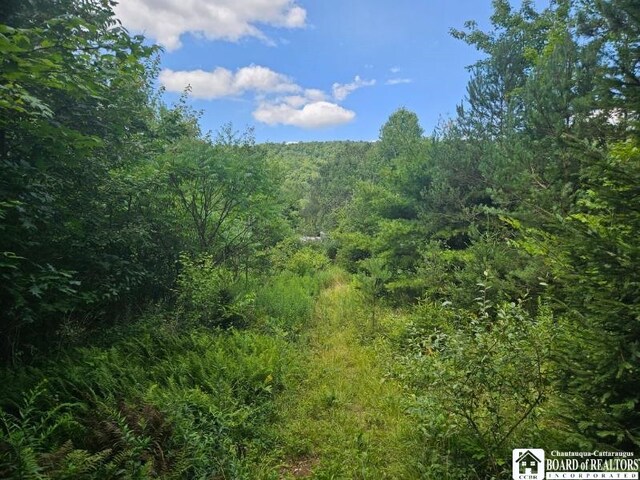 5162 Whig St, Little Valley, NY 14779 - view of woods