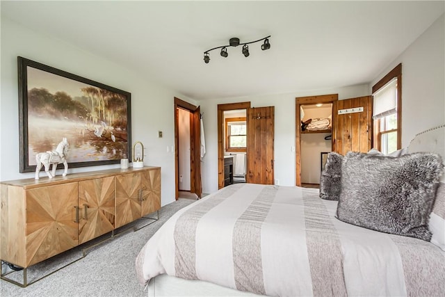 bedroom featuring light colored carpet, multiple windows, and a walk in closet