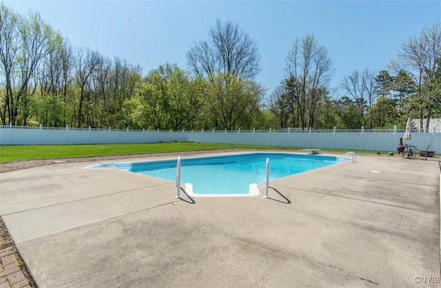view of swimming pool with a patio and a diving board