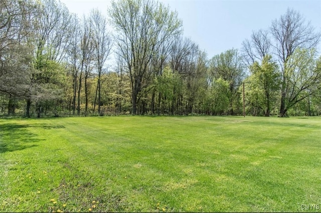 view of green lawn