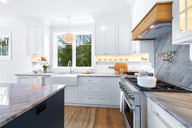 kitchen with high end stove, a sink, custom exhaust hood, white cabinetry, and light stone counters
