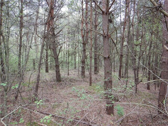Wightman Rd, Wellsville, NY 14897 - photo 35