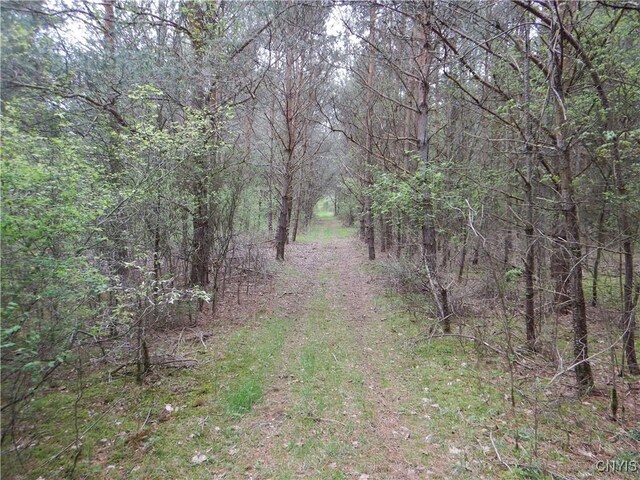 Wightman Rd, Wellsville, NY 14897 - photo 36