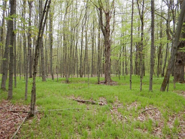 Wightman Rd, Wellsville, NY 14897 - photo 37