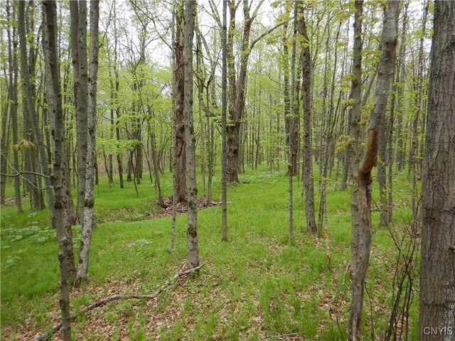 Wightman Rd, Wellsville, NY 14897 - photo 38
