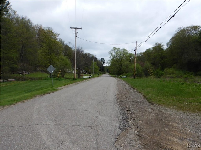 Wightman Rd, Wellsville, NY 14897 - photo 45