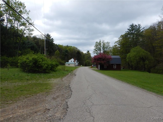 Wightman Rd, Wellsville, NY 14897 - photo 46