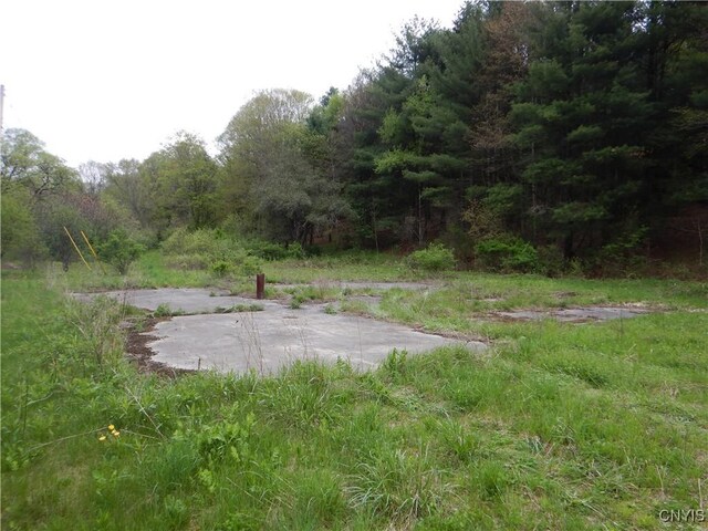 Wightman Rd, Wellsville, NY 14897 - photo 47