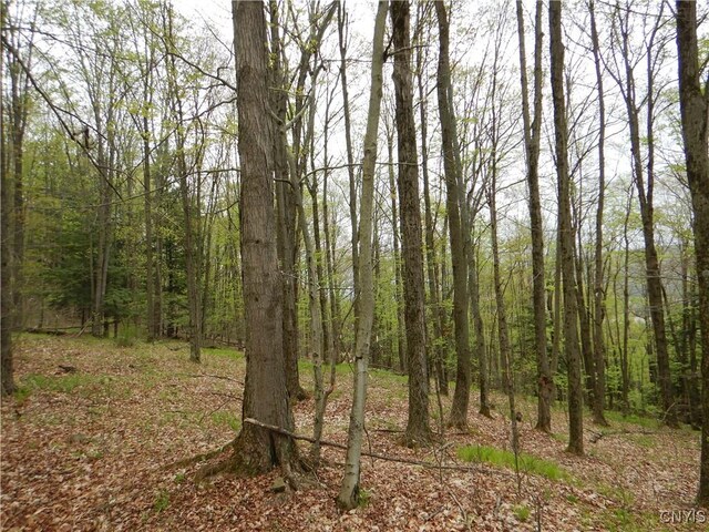 Wightman Rd, Wellsville, NY 14897 - photo 18