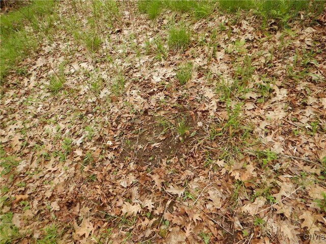 Wightman Rd, Wellsville, NY 14897 - photo 20