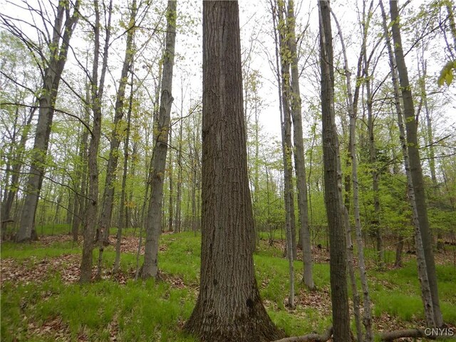 Wightman Rd, Wellsville, NY 14897 - photo 21