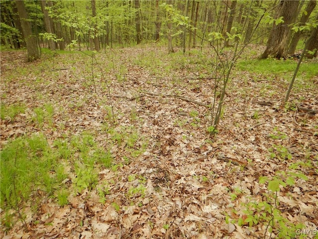 Wightman Rd, Wellsville, NY 14897 - photo 23