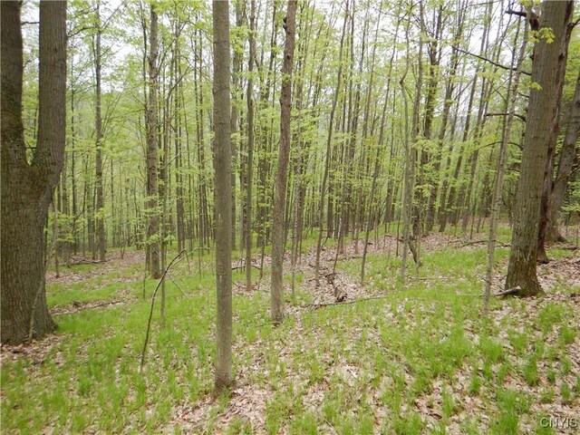 Wightman Rd, Wellsville, NY 14897 - photo 25