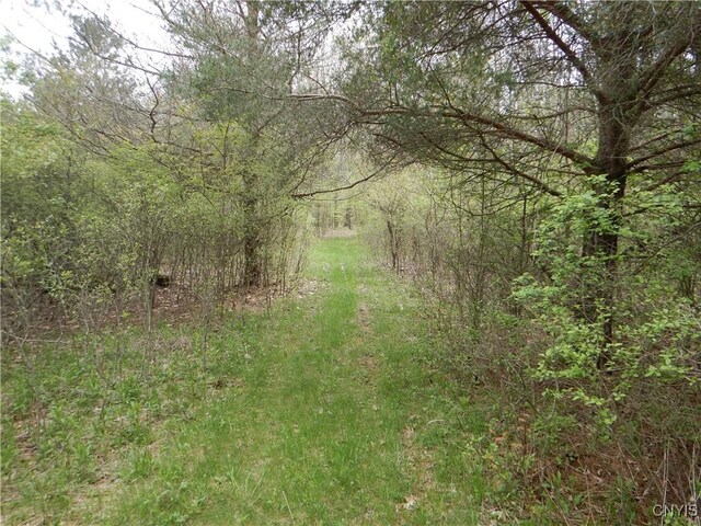 Wightman Rd, Wellsville, NY 14897 - photo 28