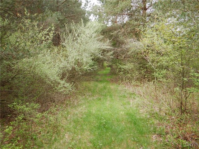 Wightman Rd, Wellsville, NY 14897 - photo 29