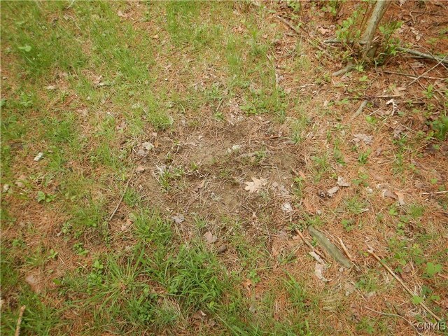 Wightman Rd, Wellsville, NY 14897 - photo 30