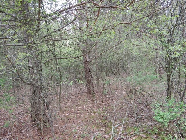 Wightman Rd, Wellsville, NY 14897 - photo 31