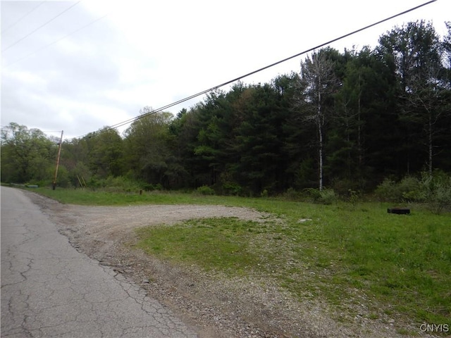 Wightman Rd, Wellsville, NY 14897 - photo 1