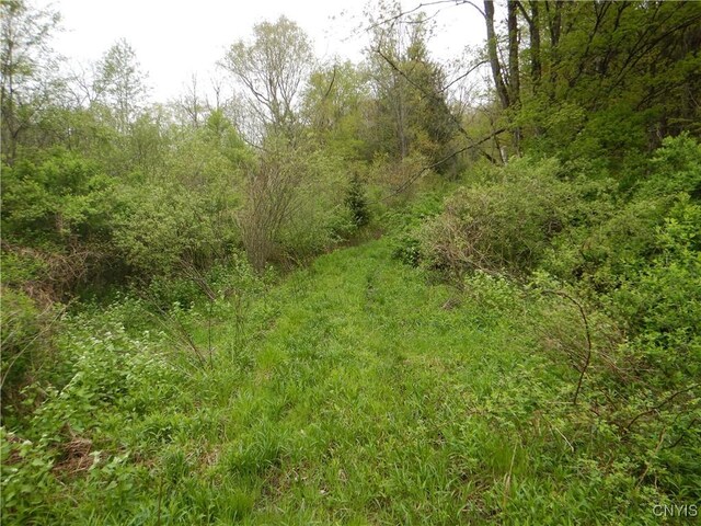 Wightman Rd, Wellsville, NY 14897 - photo 3