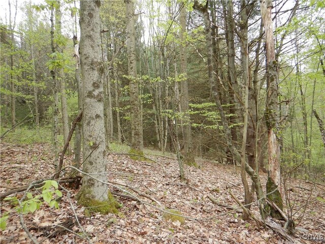 Wightman Rd, Wellsville, NY 14897 - photo 4