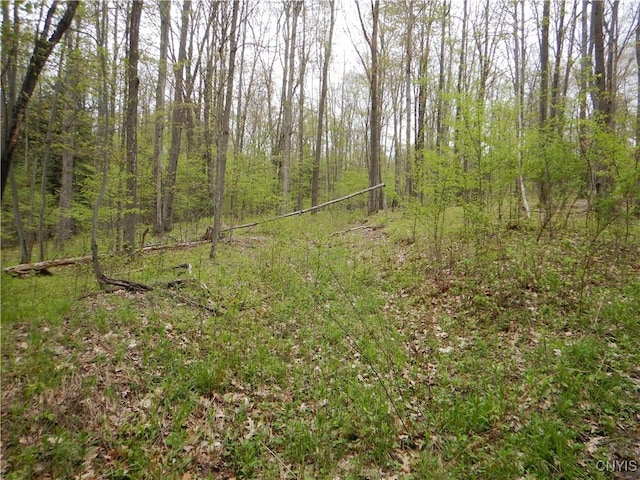 Wightman Rd, Wellsville, NY 14897 - photo 6