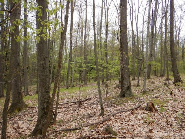 Wightman Rd, Wellsville, NY 14897 - photo 8