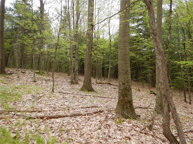 Wightman Rd, Wellsville, NY 14897 - photo 9