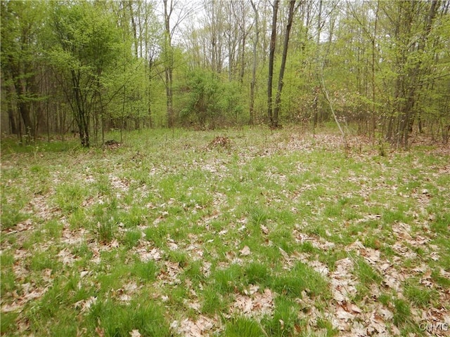 Wightman Rd, Wellsville, NY 14897 - photo 11