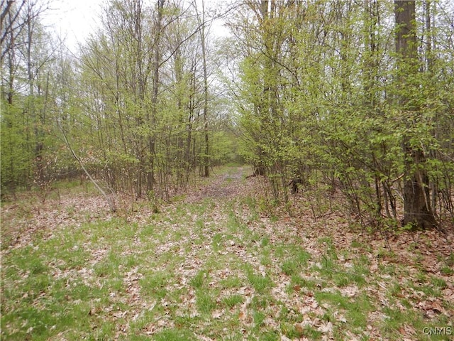 Wightman Rd, Wellsville, NY 14897 - photo 12