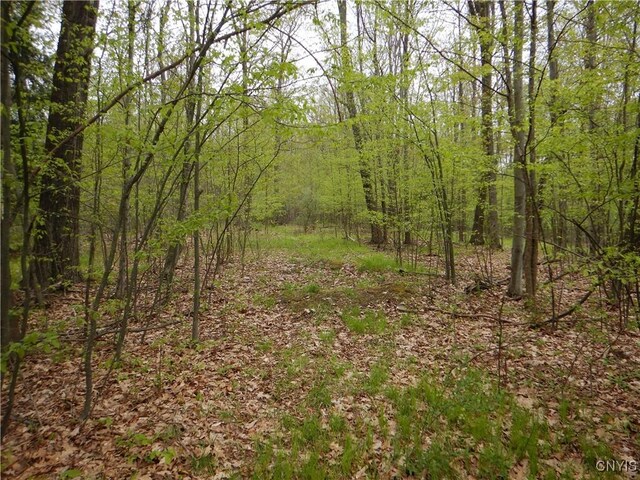Wightman Rd, Wellsville, NY 14897 - photo 13