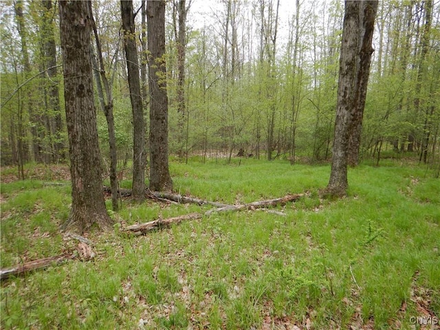 Wightman Rd, Wellsville, NY 14897 - photo 15