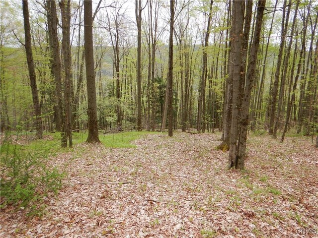 Wightman Rd, Wellsville, NY 14897 - photo 16