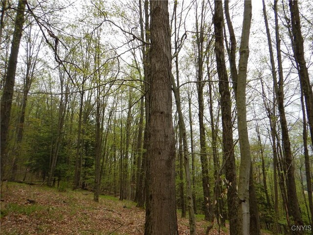 Wightman Rd, Wellsville, NY 14897 - photo 17