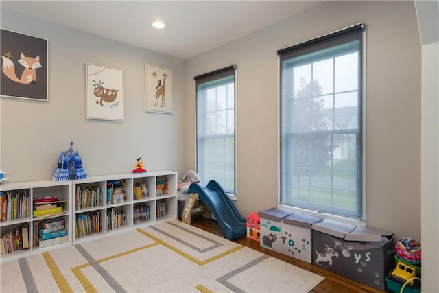 318 Wexford Ln, Horseheads, NY 14845 - recreation room with recessed lighting